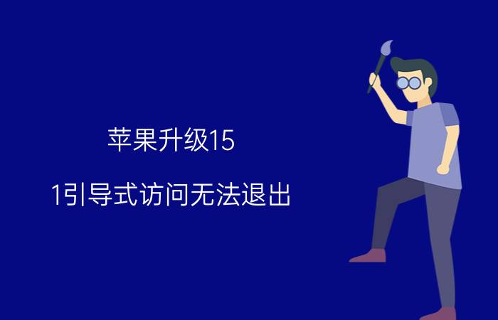 苹果升级15.1引导式访问无法退出 苹果12底下白框怎么去掉？